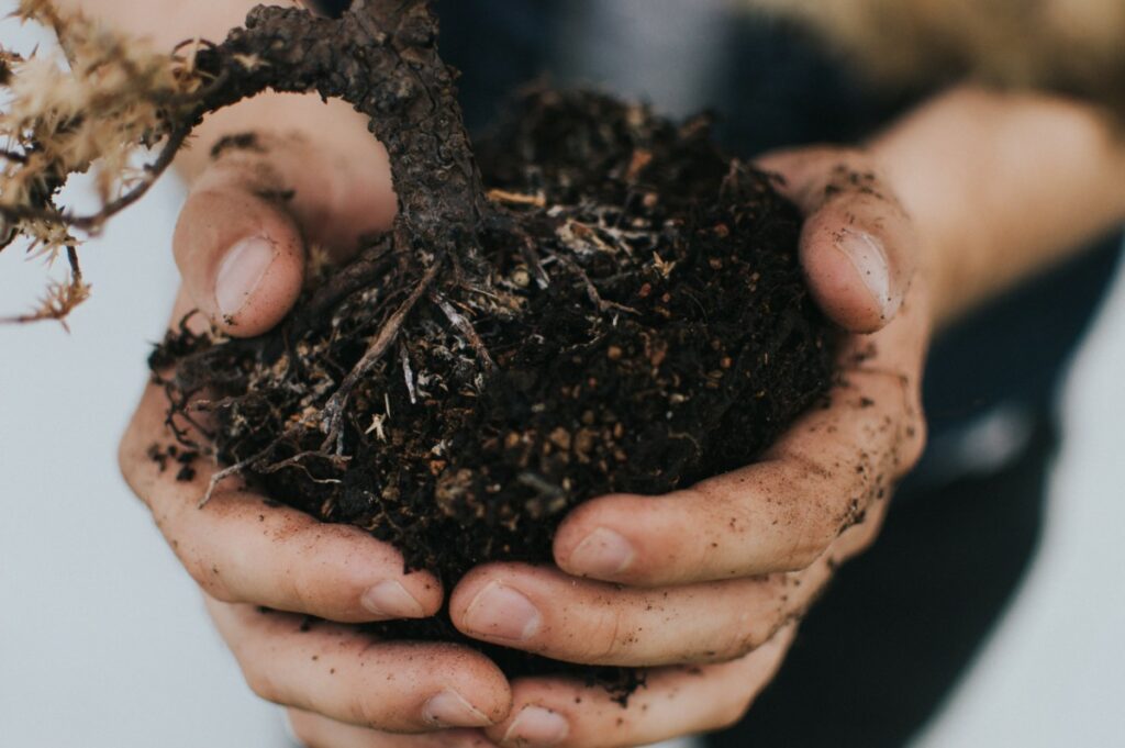 someone holding a handful of soil
