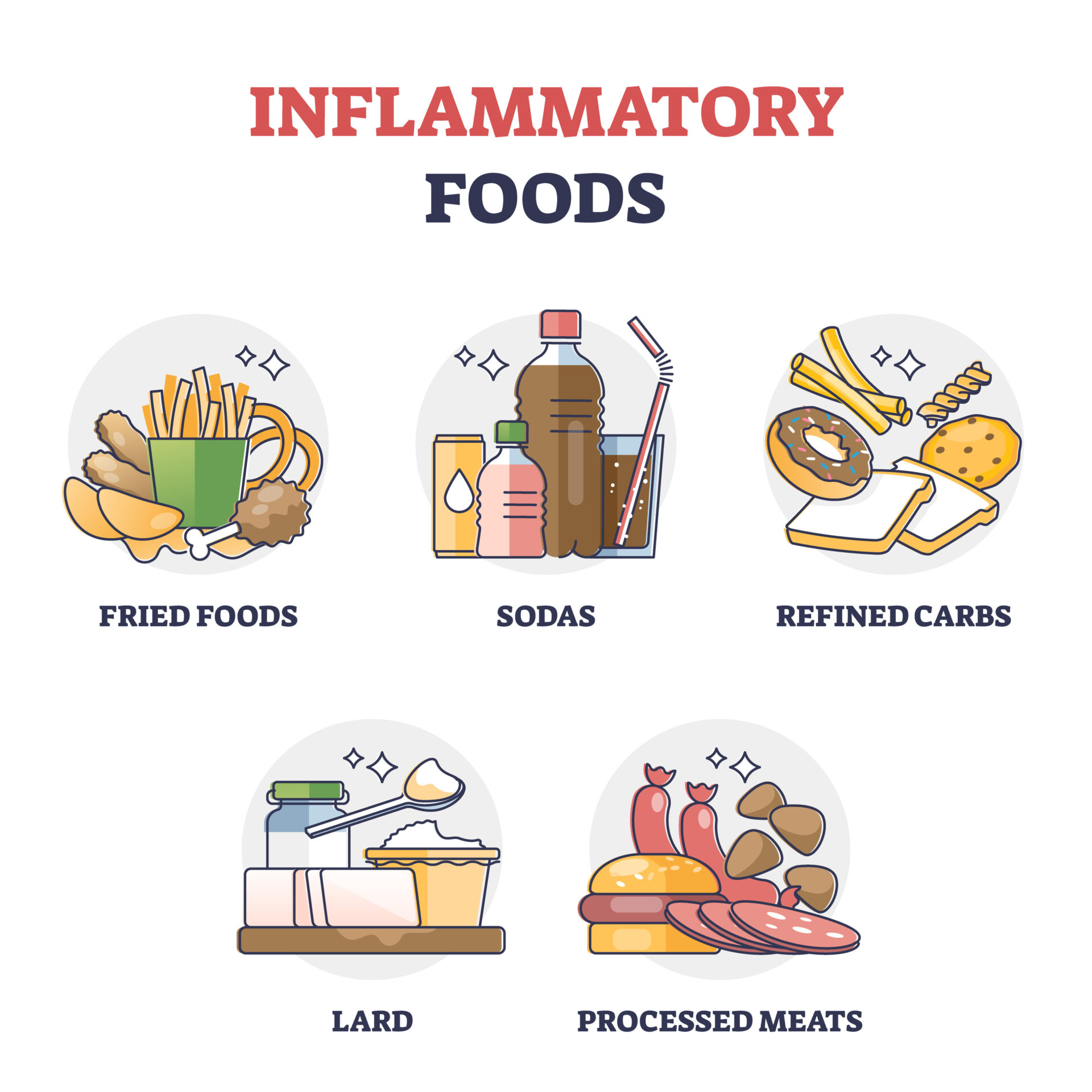 Inflammatory foods diagram - Ladan Hajipour